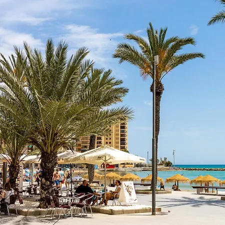 Mi Patio * 또레비에하