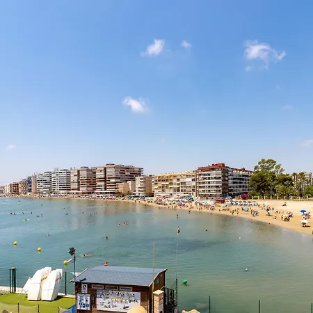 아파트 Mi Patio 또레비에하