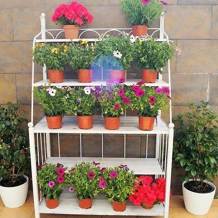 아파트 Mi Patio 또레비에하