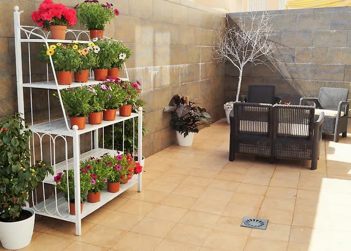 Mi Patio *