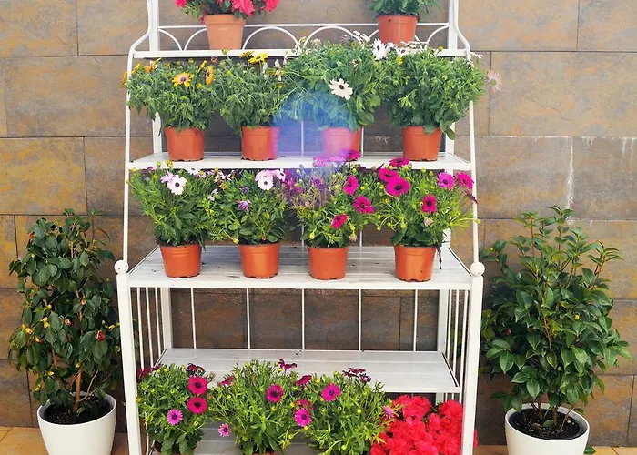 Appartement Mi Patio Torrevieja